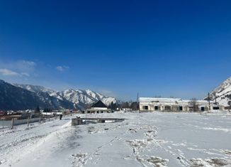 Продается земельный участок, 146.14 сот., село Чемал, Новая улица