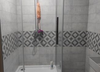 Продам двухкомнатную квартиру, 63 м2, деревня Новосельцы, Юбилейная улица, 16
