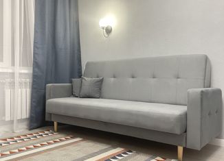 Продам 1-комнатную квартиру, 29.2 м2, Санкт-Петербург, улица Димитрова, 14к2, улица Димитрова