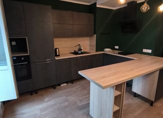 Продам квартиру студию, 28.7 м2, Санкт-Петербург, Заречная улица, 45к2, метро Парнас