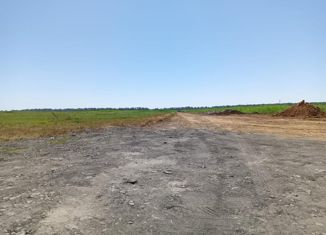 Продажа участка, 5 сот., станица Ольгинская, 4-й переулок