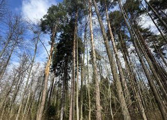 Продается земельный участок, 16.67 сот., деревня Прохорово