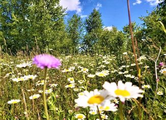 Продается земельный участок, 10.5 сот., село Мокрый Корь, Екатерининская улица, 21