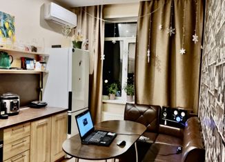 Продам двухкомнатную квартиру, 42 м2, деревня Кабицыно, микрорайон Молодёжный, 10