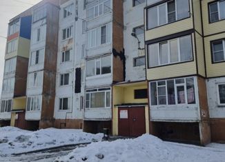 Продается 1-комнатная квартира, 28.3 м2, Елизово, Красноярская улица, 2А
