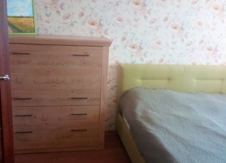 Сдам в аренду 2-ком. квартиру, 60 м2, Новосибирск, улица Дмитрия Шамшурина, 1, улица Дмитрия Шамшурина