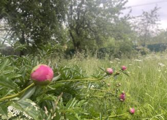 Продаю дом, 10 м2, Королёв, СНТ Дружба, 135