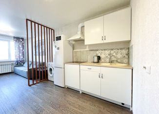 Квартира на продажу студия, 28 м2, Новосибирск, Покатная улица, 130/1, Покатная улица