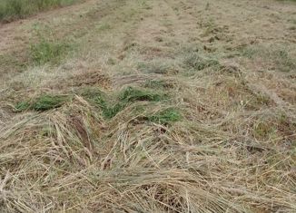 Продам участок, 10 сот., деревня Потресово, Центральная улица