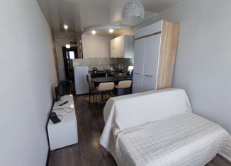 Однокомнатная квартира на продажу, 17.9 м2, Уссурийск, улица Губрия, 17