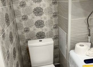 Продам двухкомнатную квартиру, 41.6 м2, деревня Снегирёвка, Центральная улица, 17А