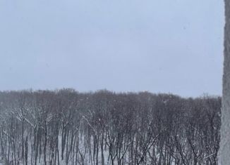 Трехкомнатная квартира на продажу, 85.2 м2, Самара, Московское шоссе, 18-й километр, 43, ЖК Рассвет