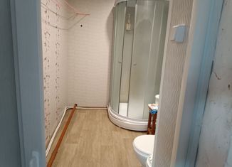 Дом на продажу, 42 м2, поселок городского типа Змиевка, улица Свердлова, 41