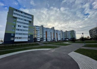 Однокомнатная квартира на продажу, 39.5 м2, деревня Малое Верево, улица Кириллова, 1А