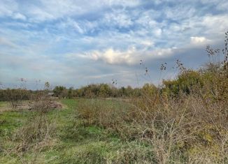 Продаю земельный участок, 20 сот., село Ковалевское, улица Мичурина, 46