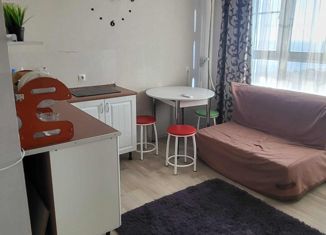 Квартира в аренду студия, 28 м2, Анапа, улица Ивана Голубца, 147