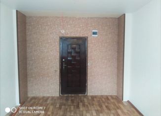 1-ком. квартира на продажу, 18.7 м2, Бор, Профсоюзная улица, 10