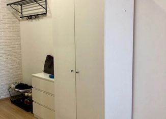 Продажа квартиры студии, 26 м2, деревня Малые Колпаны, микрорайон Речной, 3