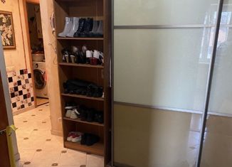 3-ком. квартира на продажу, 56 м2, село Борисовка, Новая улица, 1