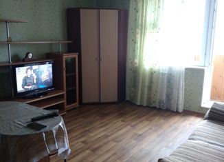Сдам в аренду однокомнатную квартиру, 28 м2, Новосибирск, микрорайон Горский, 75