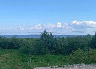 Продам участок, 22 сот., деревня Сергово