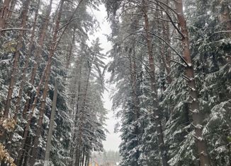 Дом на продажу, 100 м2, СНТ Русский Лес, СНТ Русский Лес, 10