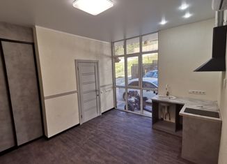 Продаю квартиру студию, 20 м2, село Орёл-Изумруд, улица Лазурная Долина, 163А