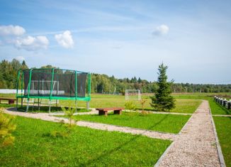 Участок на продажу, 50 сот., коттеджный посёлок Велиборы, Хвойная улица, 134