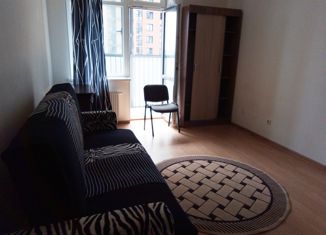 Сдам в аренду квартиру студию, 32 м2, Санкт-Петербург, улица Катерников, 7, улица Катерников