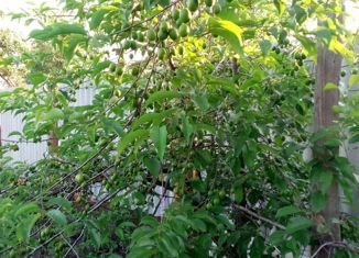 Продаю дом, 25 м2, Южноуральск, ОС Строитель, 40