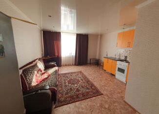 Продажа квартиры студии, 23.4 м2, село Шахи, Садовая улица, 10А