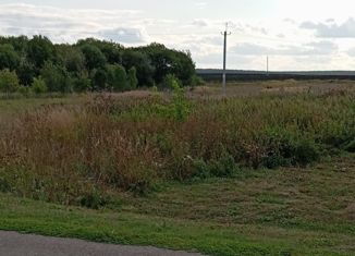 Продаю земельный участок, 15 сот., деревня Кабан-Бастрык, Заречная улица