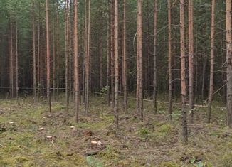 Продам земельный участок, 8 сот., садовые участки Кооператор