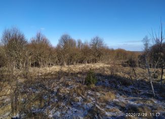 Продам земельный участок, 5200 сот., деревня Соболевка, 29Н-315