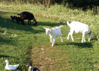 Дом на продажу, 82 м2, село Октябрьский Городок, улица Дружбы, 19