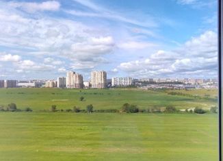 Сдам квартиру студию, 20.21 м2, Мурино, Воронцовский бульвар, 21к3