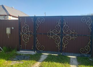 Продаю дом, 60 м2, село Окуни, Центральная улица, 55/1