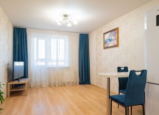 Продаю квартиру студию, 28 м2, Санкт-Петербург, улица Александра Матросова, 20к2, улица Александра Матросова