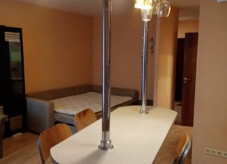 Аренда квартиры студии, 40 м2, Санкт-Петербург, улица Кустодиева, 19, улица Кустодиева