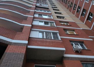 Продается 1-ком. квартира, 39.7 м2, Троицк, Городская улица, 20