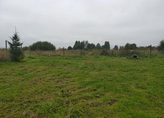 Дом на продажу, 30.8 м2, деревня Бородулино, Шоссейная улица, 12А