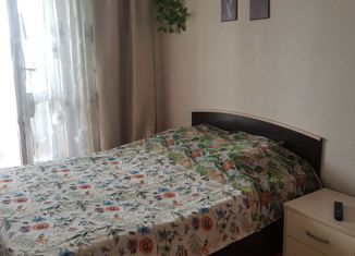 Сдам квартиру студию, 22 м2, Сосновоборск, проспект Мира, 3