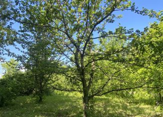 Продаю земельный участок, 33 сот., село Непряхино, улица Кирова