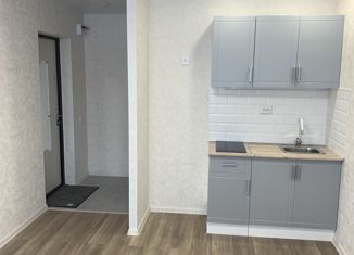 Продается квартира студия, 17.3 м2, Пермь, улица Космонавта Леонова, 43А, Индустриальный район