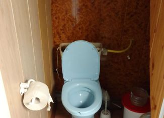 Дом на продажу, 30.9 м2, деревня Войново, Тепличная улица