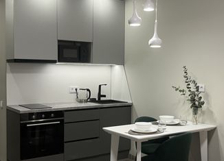 Продажа квартиры студии, 24.5 м2, Санкт-Петербург, Витебский проспект, 99к1, метро Купчино