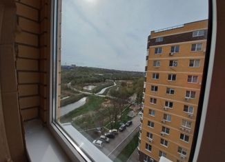 Сдаю в аренду однокомнатную квартиру, 31 м2, Ростов-на-Дону, бульвар Комарова, 1Ес4, ЖК Звёздный 2