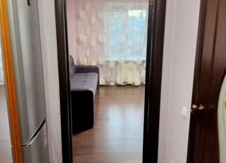 Продается квартира студия, 21.2 м2, деревня Хохряки, Тепличная улица, 32