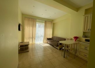Продается двухкомнатная квартира, 43 м2, Сочи, Крымская улица, 89, микрорайон Мамайка
