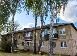 Продается 1-ком. квартира, 32 м2, село Моховица, Центральная улица, 14